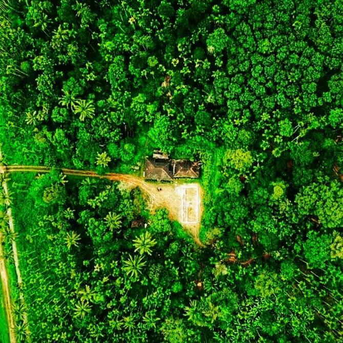 Swastha Plantation Homestay Kaniyāmbetta Exterior foto